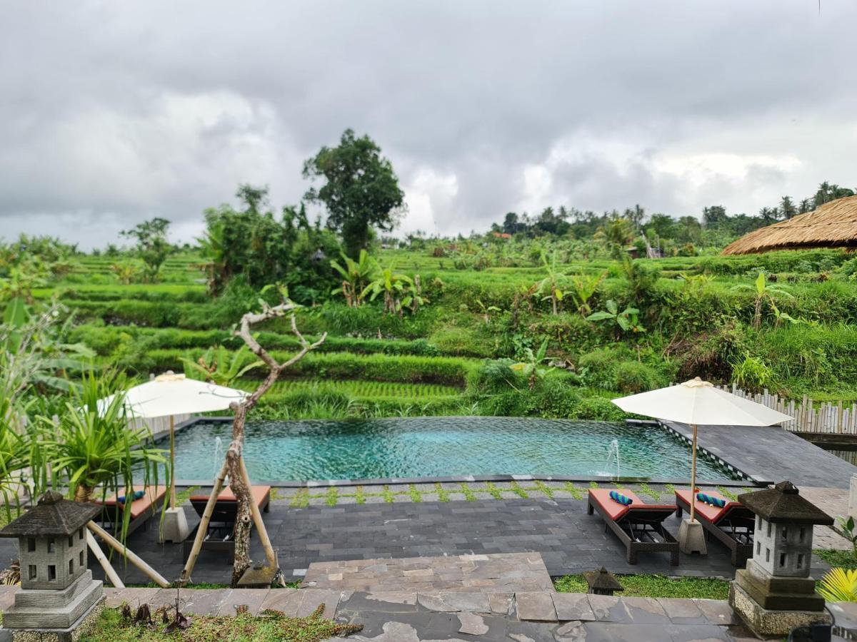 Alamgangga Villas Tirta Gangga Каранґасем Екстер'єр фото
