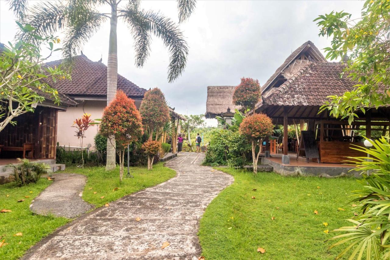 Alamgangga Villas Tirta Gangga Каранґасем Екстер'єр фото
